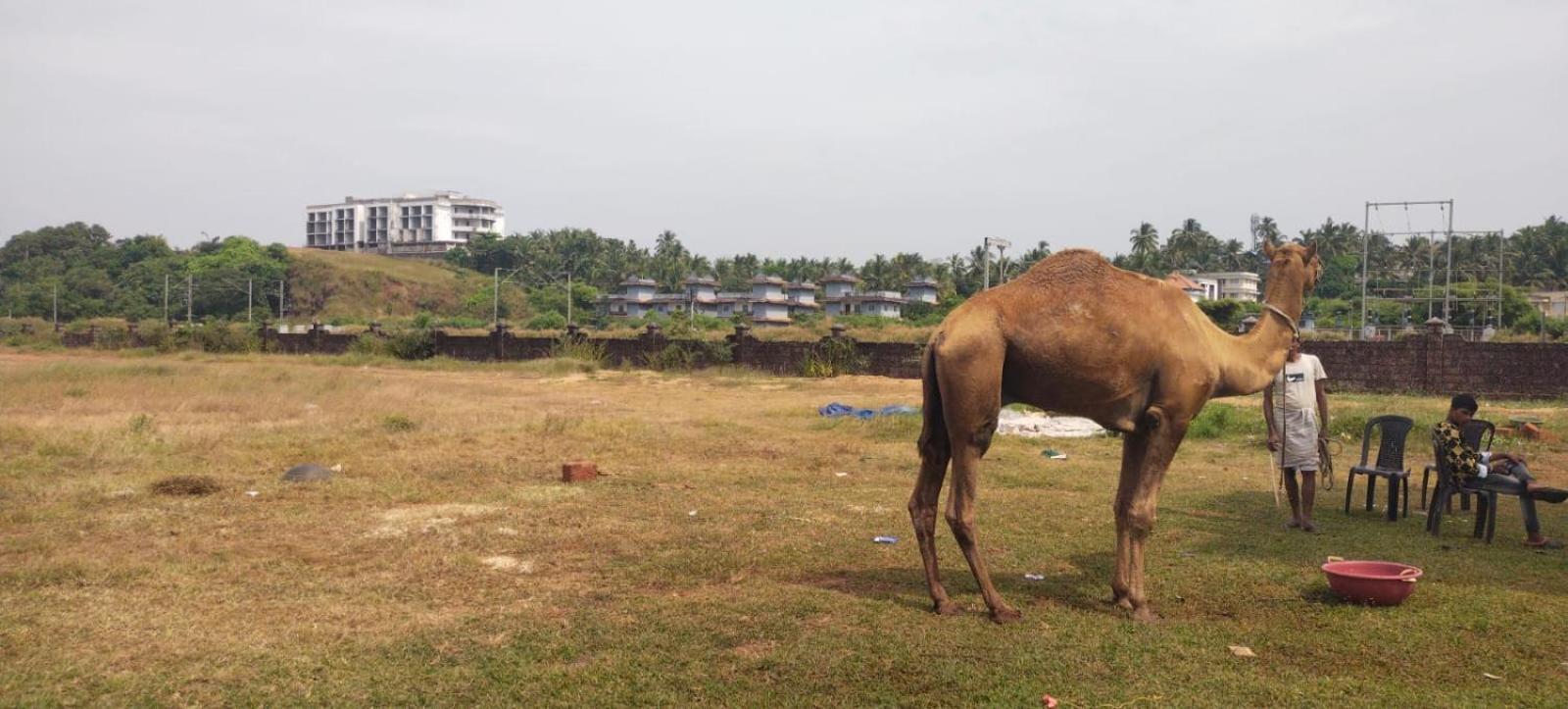 Bekal Fort Beach Resorts Bekal Town ภายนอก รูปภาพ