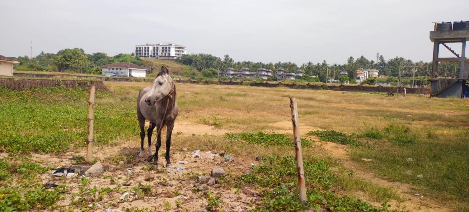Bekal Fort Beach Resorts Bekal Town ภายนอก รูปภาพ